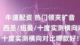 牛道配资 热门领夹扩音器那款好？西圣/纽曼/十度实测横向对比哪款好！